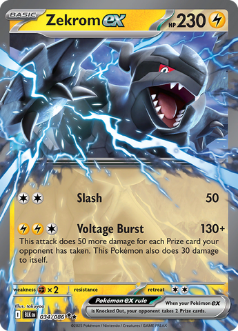 Zekrom ex