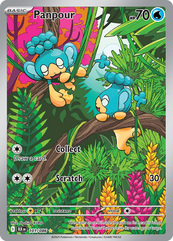Panpour (Illustration Rare)