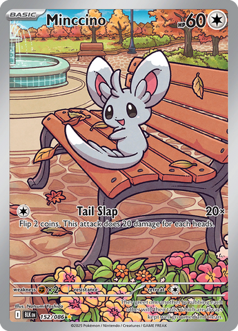 Minccino (Illustration Rare)